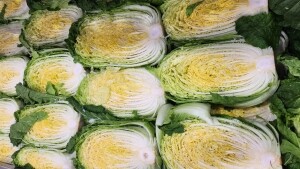 {홍천농산물},명이나물, 사과즙, 홍천사과즙, 개복숭아원액, 개복숭아효소, 개복숭아청, 부사사과, 홍천사과, 홍천부사사과, 오미자청, 홍천오미자청, 오미자당절임, 오미자설탕절임, 건오미자, 말린오미자, 수리취떡, 강원도수리취떡, 옥수수수염, 옥수수수염차, 절임배추, 고랭지절임배추, 강원도고랭지절임배추, 홍천절임배추, 절임배추20kg, 고랭지절임배추20kg