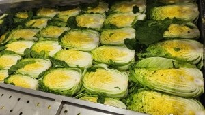 {홍천농산물},명이나물, 사과즙, 홍천사과즙, 개복숭아원액, 개복숭아효소, 개복숭아청, 부사사과, 홍천사과, 홍천부사사과, 오미자청, 홍천오미자청, 오미자당절임, 오미자설탕절임, 건오미자, 말린오미자, 수리취떡, 강원도수리취떡, 옥수수수염, 옥수수수염차, 절임배추, 고랭지절임배추, 강원도고랭지절임배추, 홍천절임배추, 절임배추20kg, 고랭지절임배추20kg