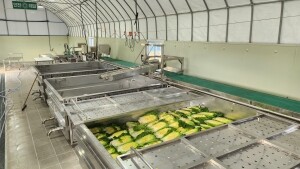 {홍천농산물},명이나물, 사과즙, 홍천사과즙, 개복숭아원액, 개복숭아효소, 개복숭아청, 부사사과, 홍천사과, 홍천부사사과, 오미자청, 홍천오미자청, 오미자당절임, 오미자설탕절임, 건오미자, 말린오미자, 수리취떡, 강원도수리취떡, 옥수수수염, 옥수수수염차, 절임배추, 고랭지절임배추, 강원도고랭지절임배추, 홍천절임배추, 절임배추20kg, 고랭지절임배추20kg