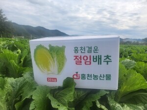 {홍천농산물},명이나물, 사과즙, 홍천사과즙, 개복숭아원액, 개복숭아효소, 개복숭아청, 부사사과, 홍천사과, 홍천부사사과, 오미자청, 홍천오미자청, 오미자당절임, 오미자설탕절임, 건오미자, 말린오미자, 수리취떡, 강원도수리취떡, 옥수수수염, 옥수수수염차, 절임배추, 고랭지절임배추, 강원도고랭지절임배추, 홍천절임배추, 절임배추20kg, 고랭지절임배추20kg